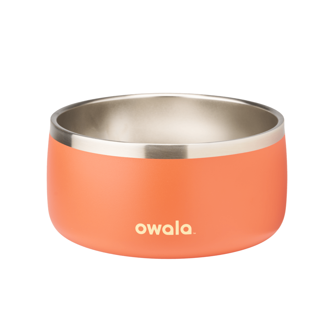 Pet Bowl W9