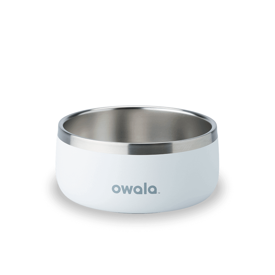 Pet Bowl W9